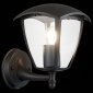 Светильник на штанге ST Luce Sivino SL081.401.01