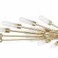 Потолочная люстра Lightstar Ragno 732283