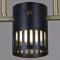 Люстра Reluce 06675-0.3-05 GD+BK GX53