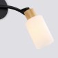 Настенно-потолочный спот Ambrella light TRADITIONAL TR8721