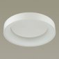 Потолочный светодиодный светильник Odeon Light Sole 4062/50CL