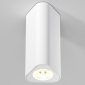 Потолочный светильник Elektrostandard 25110/LED a067063