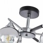 Потолочная люстра Arte Milano Napoli-9354 339354/6 CR+BK