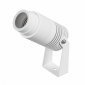 Прожектор уличный Arlight RAY 042676(1)