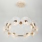 Подвесная люстра Rivoli Shannon 6135-101 Б0061947