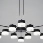 Подвесная люстра Reluce 19490-0.4-6+6 Black