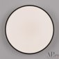 Потолочный светильник APL LED Toscana 3315.XM302-2-328/18W Black