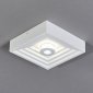 Настенно-потолочный светильник Escada Gesso 10218/SG LED