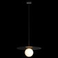 Подвесной светильник Loft IT Ufo 10120/350P Black