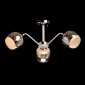 Потолочная люстра Альфа 324018603