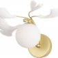 Бра Crystal Lux Colibri AP1 Gold