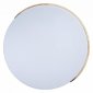 Потолочный светильник Loft IT Axel 10004/36 White
