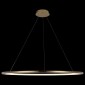Подвесной светодиодный светильник Loft IT Ring 10014XXL