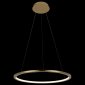 Подвесной светодиодный светильник Loft IT Ring 10014M