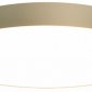 Накладной светильник Maytoni Zon C032CL-L96MG3K