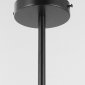 Люстра на штанге Lampit FINO TP 2008-5 BK