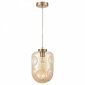 Подвесной светильник Vele Luce Alieno VL5354P31