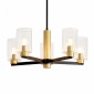 Потолочная люстра Freya Ombre FR2051CL-05BBS