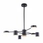 Потолочная люстра APL LED Ferrara 3307.6293-6 Black