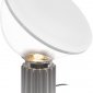 Интерьерная настольная лампа Loft IT Taccia 10294/S Silver