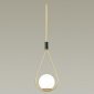Подвесной светильник Odeon Light Flari 4810/1