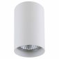 Точечный накладной светильник Lightstar Rullo 214436