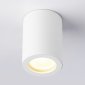 Накладной светильник Ambrella light Techno Spot Techno TN22797
