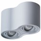 Потолочный светильник Arte Lamp Falcon A5645PL-2GY