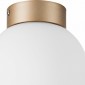 Настенно-потолочный светильник Lightstar Globo 812013