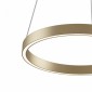 Подвесной светильник Maytoni Rim MOD058PL-L22BSK