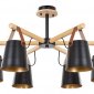 Люстра на штанге Arte Lamp Thomas A7032PL-6BK