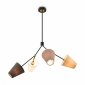 Потолочная люстра Hats FR5370CL-04B