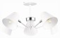 Потолочная люстра Evoluce Lere SLE106702-05