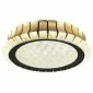 Потолочный светильник Odeon Light Asturo 4994/75L