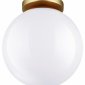 Потолочный светильник Odeon Light Bosco 4248/1C