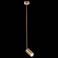 Подвесной светильник ST Luce Sormano SL1206.303.01