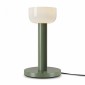 Интерьерная настольная лампа Freya Barries FR6185TL-L5GN