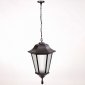 Уличный светильник подвесной Oasis Light 79820 Bl