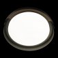 Потолочный светильник Loft IT Coin 10198 Black
