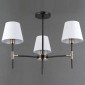 Потолочная люстра Illumico IL0185-3CSQ-24 BK AB CASTOR