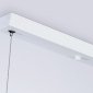 Подвесной светильник Ambrella light TRADITIONAL TR8196