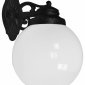 Настенный светильник уличный Fumagalli Globe 250 G25.131.000.AYE27DN