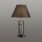 Интерьерная настольная лампа Lumion Fletcher 5290/1T