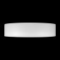 Потолочный светильник Loft IT Coin 10202 WB