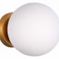 Настенно-потолочный светильник ST Luce Acini SL717.201.01