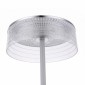 Интерьерная настольная лампа Lumion Satiana 8252/1TL