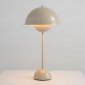 Интерьерная настольная лампа Cloyd Erma 30043