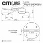 Потолочная люстра Citilux ESPACE CL243141