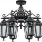 Потолочный светильник уличный Oasis Light PETERSBURG S 79870SA/6/02 Bl