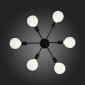 Потолочная люстра ST Luce Ano SL419.402.06